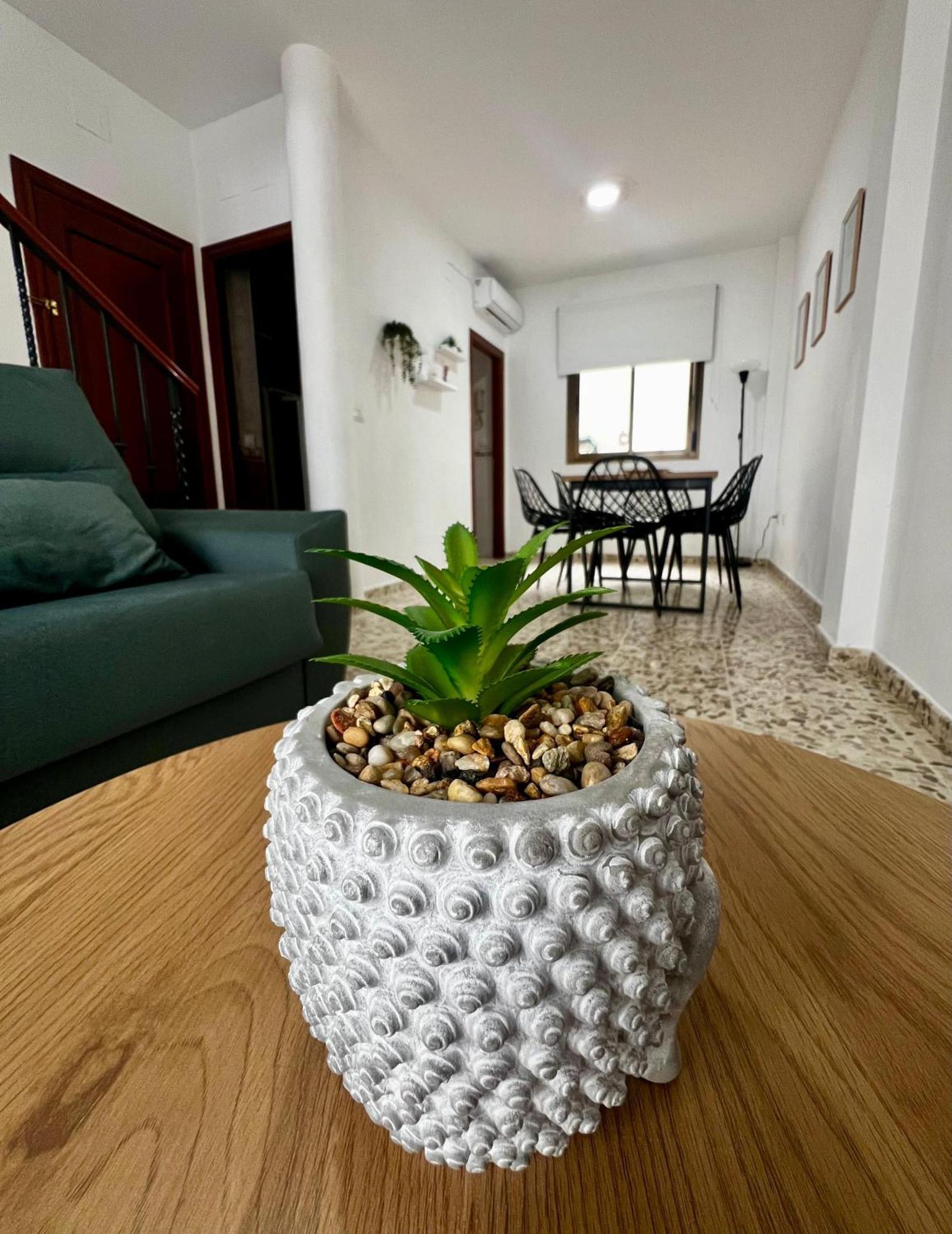 Nueva Casa Privada Con Patio Y Solarium *